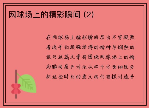 网球场上的精彩瞬间 (2)